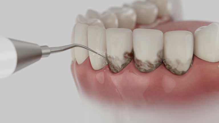 Reliable Dental contractor in Rincon, GA by Dentist Open Now